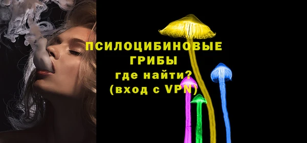 PSILOCYBIN Верхний Тагил