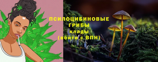 первитин Верея