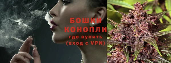 PSILOCYBIN Верхний Тагил