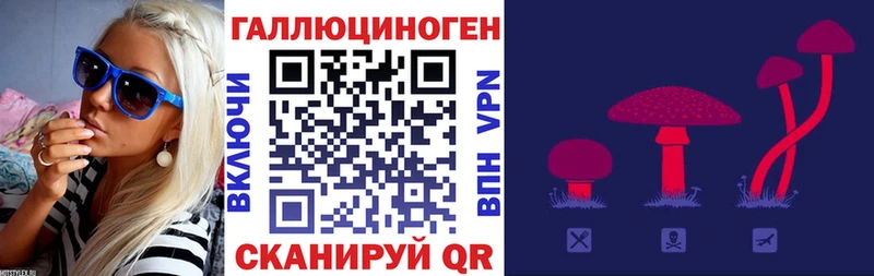 Псилоцибиновые грибы мицелий  Выборг 