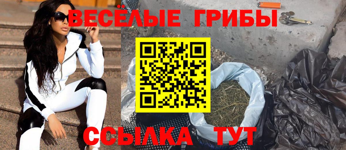 Псилоцибиновые грибы Psilocybine cubensis  Вход с VPN  Выборг  Псилоцибиновые грибы GOLDEN TEACHER 