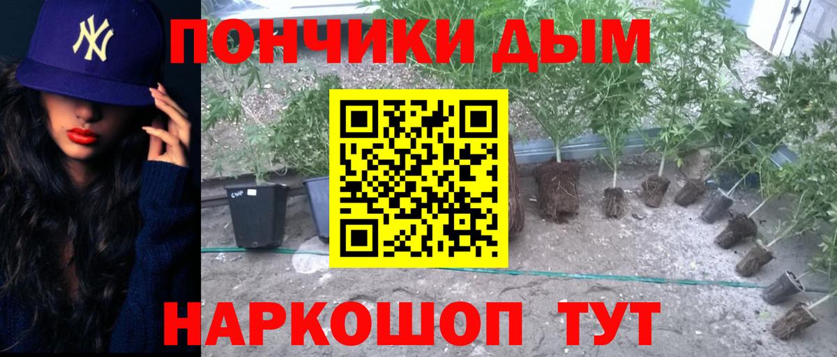 Бошки марихуана VHQ Выборг